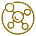 Paraben Free icon